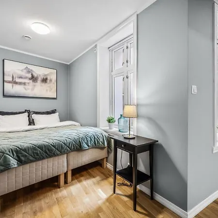 Dragesmauet Appartement *